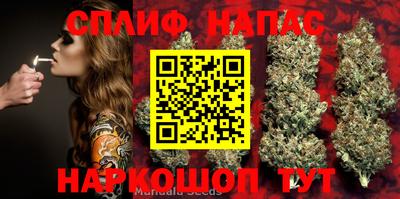 2c-b Кимры