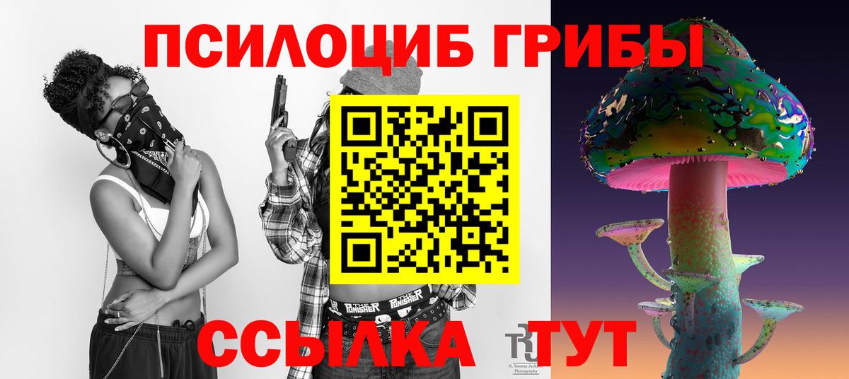 Псилоцибиновые грибы GOLDEN TEACHER  Галлюциногенные грибы Psilocybe  Вход с VPN  Киселёвск 